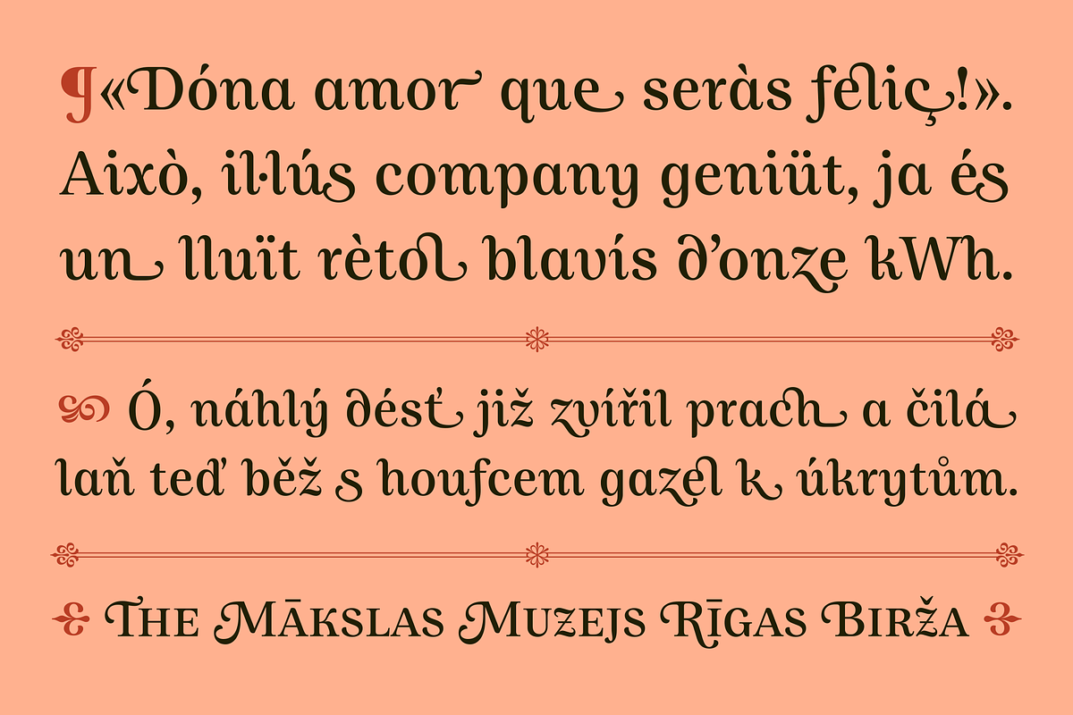Allust Italic Font, a Serif Font by Halfmoon Type (Photo 5 of 11)