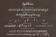 Synthesia, a Script Font by Byuly Ayika (Thumbnail 9 of 9)