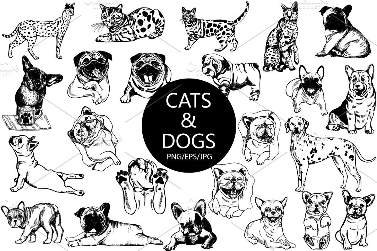 Cats & Dogs, an Animal Illustration by Ecaterina Sciuchina (Photo 1 of 4)