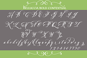 Belluccia Pro Bold Font, a Script Font by Debi Sementelli (Thumbnail 3 of 5)