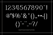 Mastfield - Modern Display Font, a Symbol Font by Sronstudio (Thumbnail 15 of 18)
