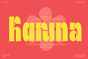 Karuna - Bold Sans Font, a Sans Serif Font by Say Studio (Thumbnail 1 of 12)