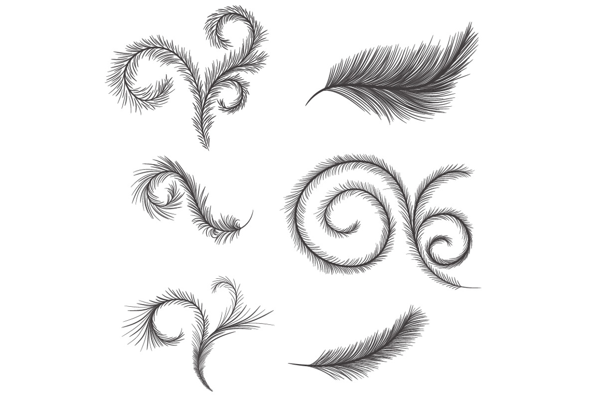 Vector feathers: patterns, a Graphic by lycka (Photo 5 of 5)