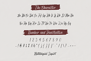 Letudown | Special Handwriting, a Script Font by Forberas Club (Thumbnail 6 of 7)