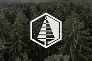 Linear Pine Tree Logo, a Branding & Logo Template by M. E. Smith Design (Thumbnail 1 of 4)