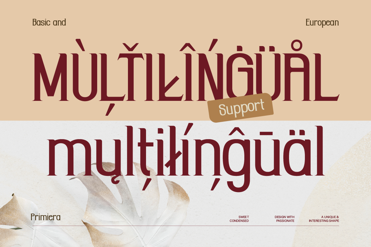 Primiera, a Sans Serif Font by Burntilldead (Photo 12 of 13)