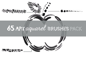 65 Art Aquarel Brushes Pack