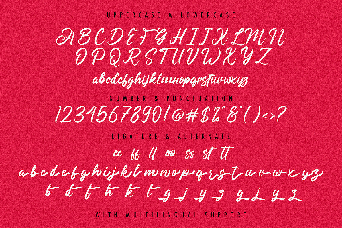 Angilla Denis - Brush Script Font, a Script Font by StringLabs (Photo 12 of 13)