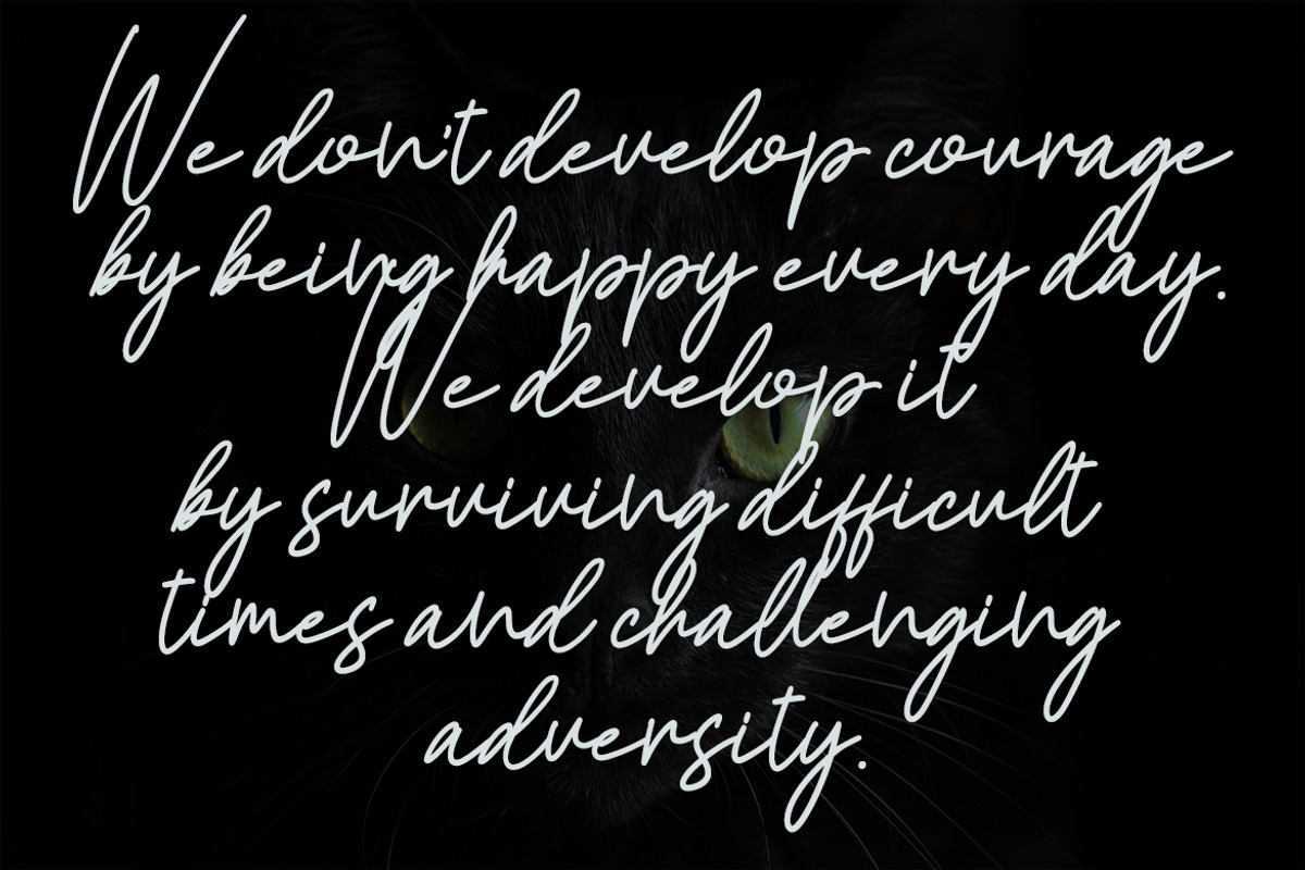 Francos Signature - Stylish Monoline, a Script Font by skiiller studio (Photo 5 of 8)