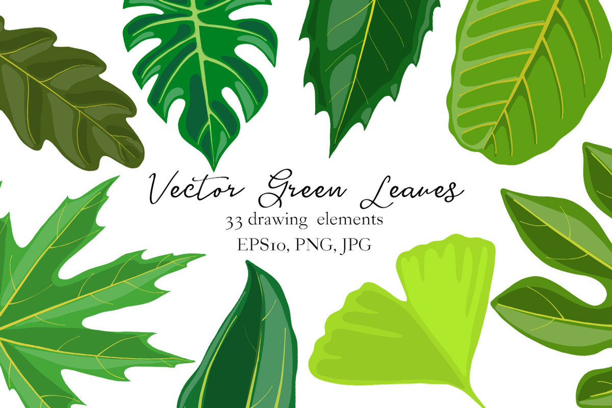 Vector Green Leaves, an Illustration by cat_arch_angel (Photo 1 of 4)