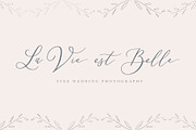 Delicate Elegant Script & Ornaments, a Script Font by Mila Garret (Thumbnail 5 of 11)