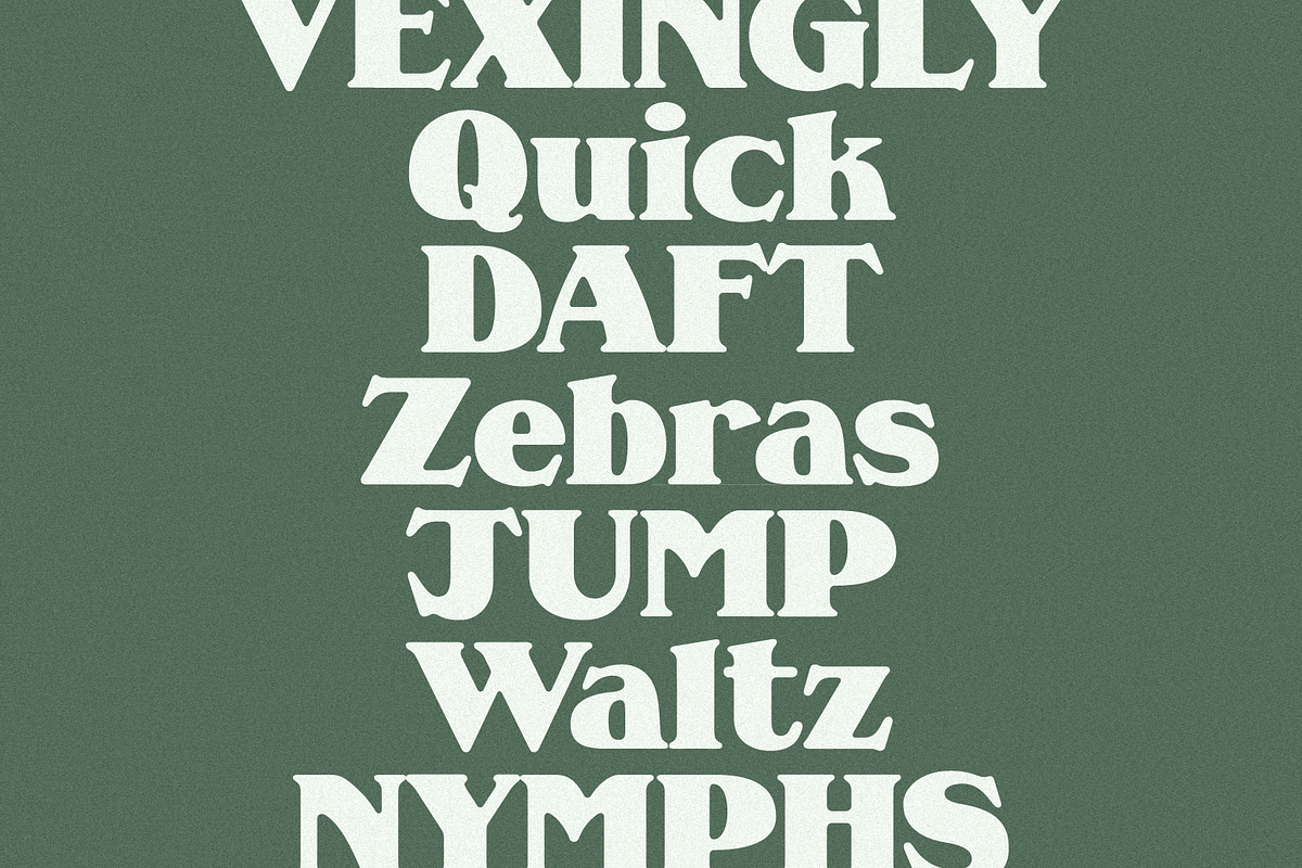 MC Supra Soft, a Serif Font by McLetters (Photo 6 of 11)