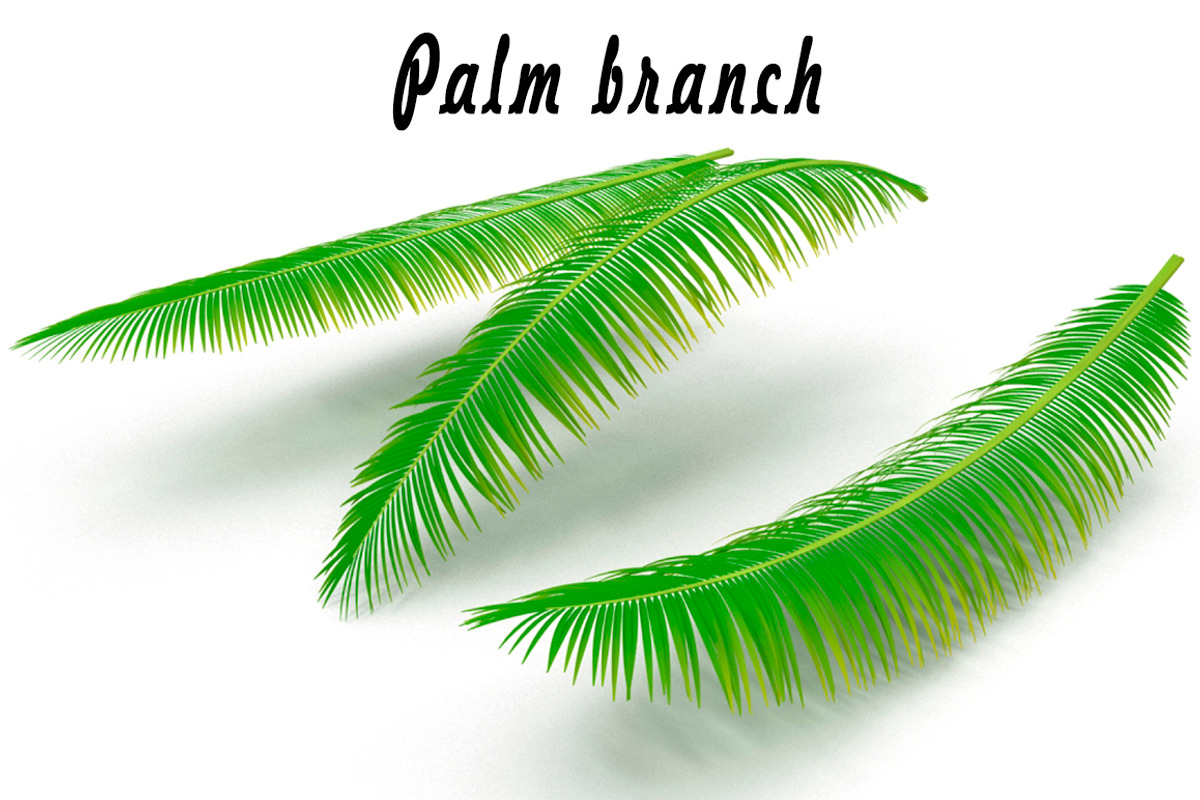 Palm branch, an Environmental 3D Model by AndrewWhite (Photo 1 of 10)