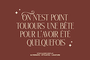 Quinther - Ligature Display Serif, a Serif Font by Luna Shop (Thumbnail 2 of 6)