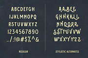 Fictoria Typeface, a Font by Ilham Herry (Thumbnail 4 of 10)