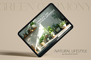 Green Harmony Stock Photo Bundle, a Nature Photo by Elena Dorosh (Thumbnail 10 of 10)