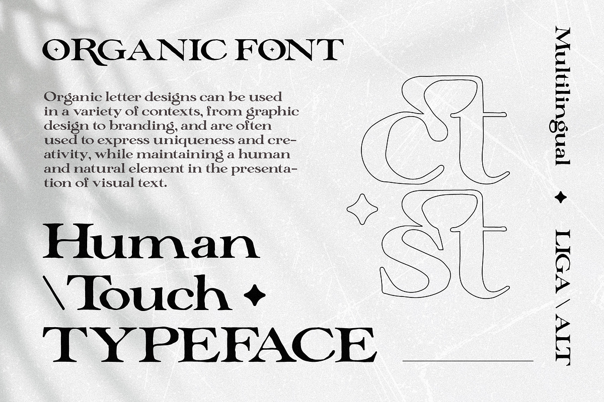 Benstorm Obvious - Organic Serif, a Handwritten Font by Lettermine (Photo 7 of 10)