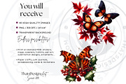 Autumn Butterfly and Flower Cliparts, an Animal Illustration by ThatsDesignArt (Thumbnail 2 of 10)