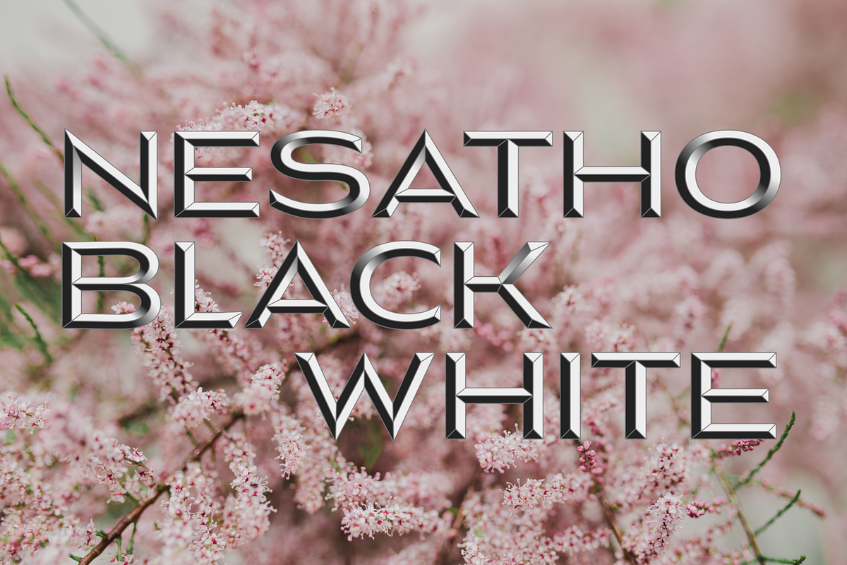 Nesatho OK, a Sans Serif Font by glukfonts (Photo 2 of 10)