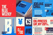 Blue Oil Co. | Vintage Font Family, a Serif Font by Tondi Type Studio (Thumbnail 4 of 7)