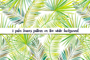 Tropical Dreams Patterns