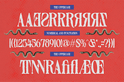Distressed Seroze – Elegant Serif, a Serif Font by Mahesans Co (Thumbnail 9 of 10)