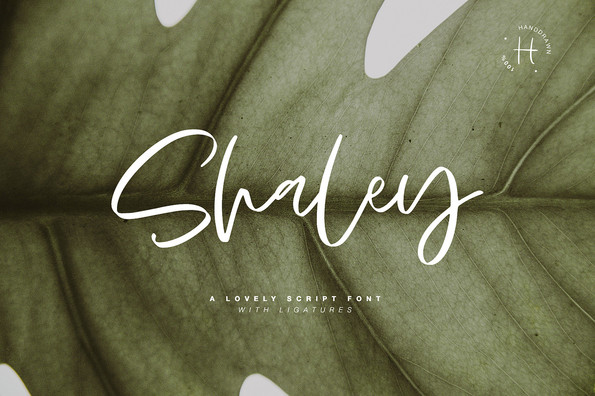 SHALEY SCRIPT, a Handwritten Font by supfonts (Photo 1 of 6)