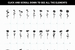 100 Flower Silhouettes