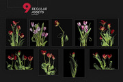 Scanned Tulip Photocopies, a Graphic by Pásha (Thumbnail 3 of 5)