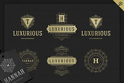 1000 Logos and Badges Bundle, a Branding & Logo Template by Vasya Kobelev (Thumbnail 36 of 39)