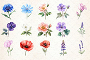 Charming Wild Flowers Watercolor Cli, an Illustration by Rose Art (Thumbnail 2 of 7)