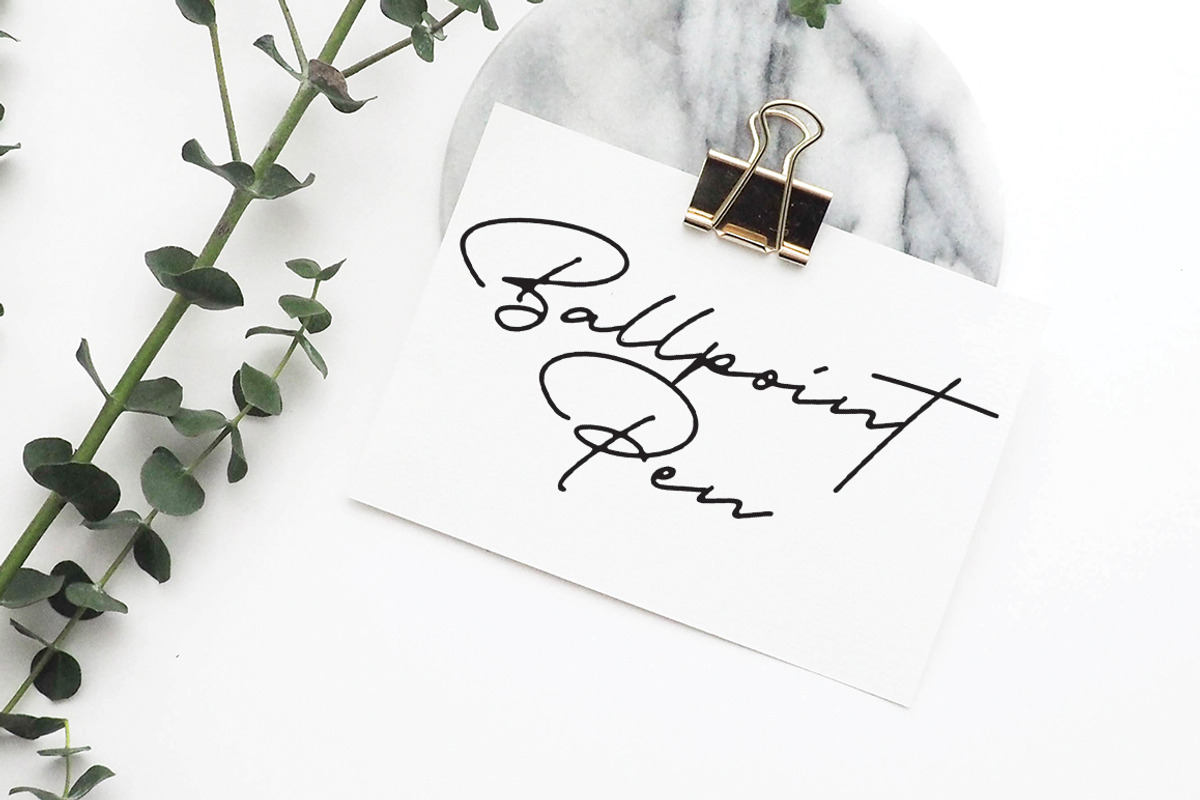 Portrait - A Signature Script, a Script Font by Hustle Supply Co. (Photo 9 of 9)