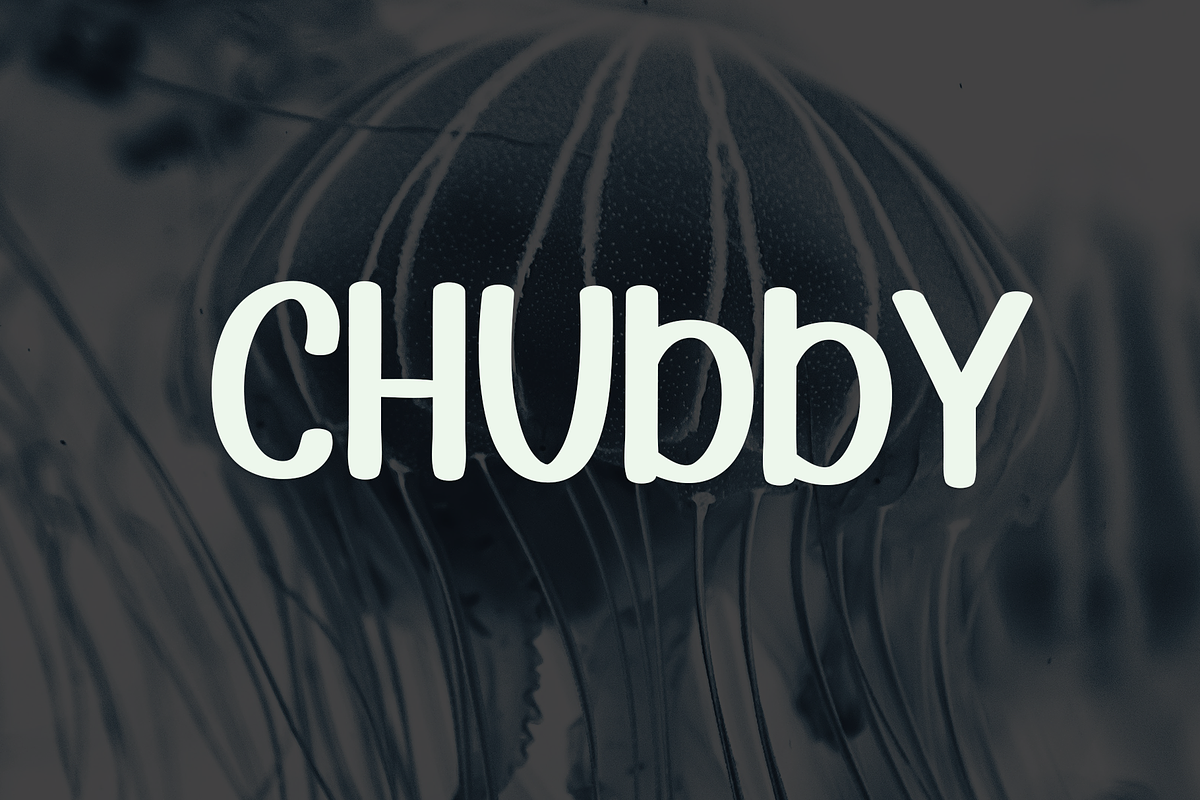Jellyfish, a Slab Serif Font by FreshTypeINK (Photo 7 of 8)