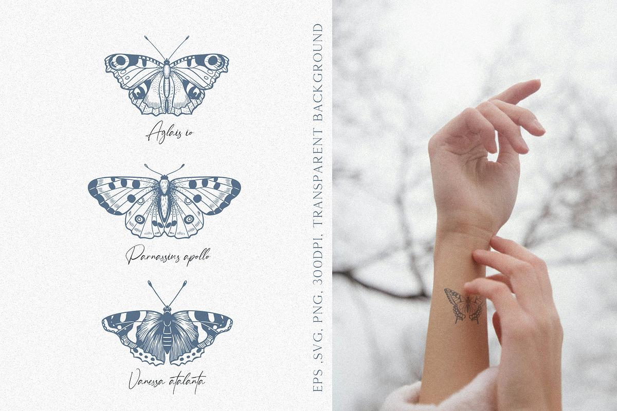 Wings in Ink. Vector Butterflies, an Object Graphic by PenguinArtStudio (Photo 4 of 6)