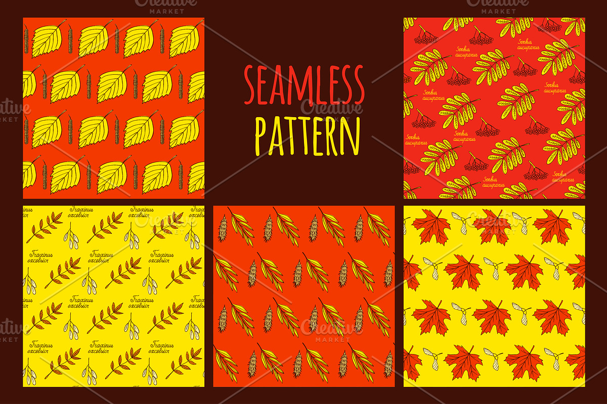 Leaves and seed - Autumn Collection, an Illustration by EvgeniaV (Photo 2 of 3)