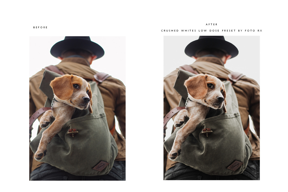 Modern + Moody Lightroom Presets preview 4