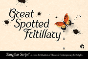Sanzibar Script, a Script Font by ArtyType (Thumbnail 4 of 8)