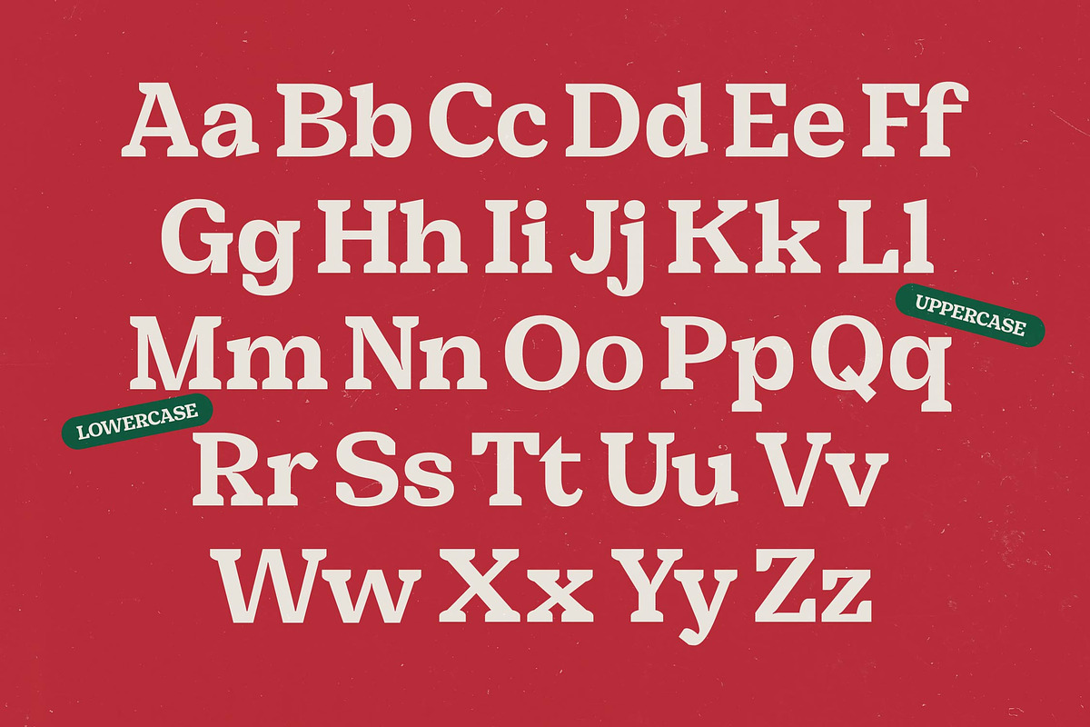 Snack Rush Modern Retro Serif, a Serif Font by timelesstype.co (Photo 17 of 20)