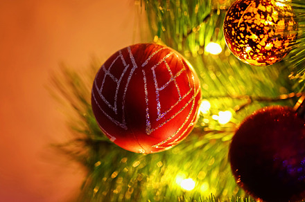 Red Christmas balls on a branch of Christmas tree. Festive postcard. Christmas,, a Holiday Photo by Detriana