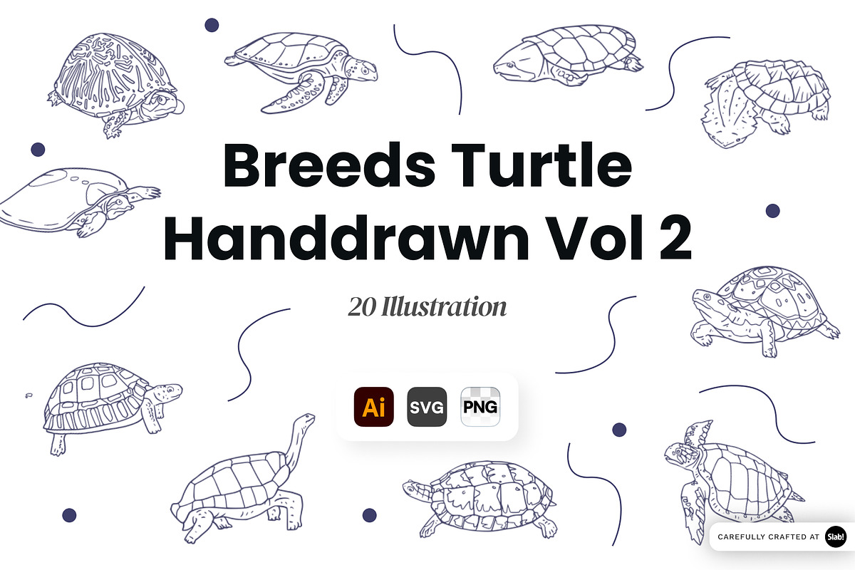Breeds Turtle Handdrawn Vol 2, an Animal Illustration by SLAB! Design (Photo 1 of 3)