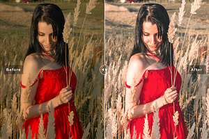 Cardinal Pro Lightroom Presets