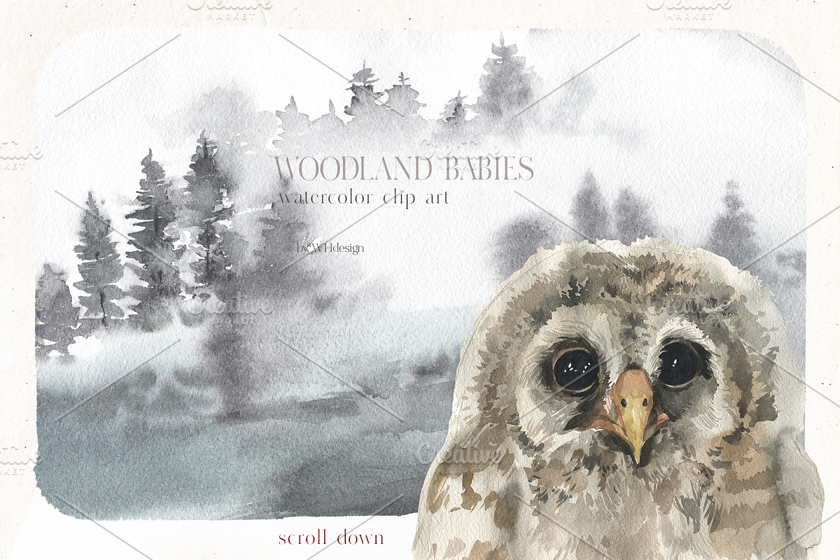 Woodland Babies Wild Animals Clipart, an Animal Illustration by whiteheartdesign (Photo 8 of 28)