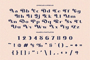 Blize Queen - Display Serif Font, a Sans Serif Font by PutraCetol Studio (Thumbnail 11 of 11)