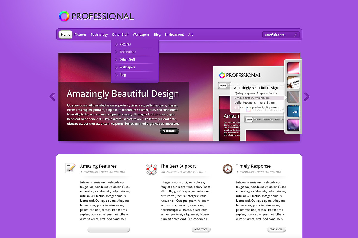 The Professional - Elegant Team, a WordPress Template by Elegant Themes Team (Photo 2 of 4)