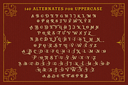 Vianor, a Font by Larin Type Co. (Thumbnail 8 of 9)