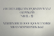 Monument - All Caps Serif Font, a Serif Font by VP Fonts (Thumbnail 9 of 11)