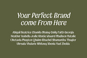 Bekola Modern Display Font, a Serif Font by RantautypeStudio (Thumbnail 3 of 17)
