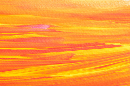Yellow orange paint brush, an Abstract Photo by progressman