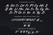 Belligerent Script Style, a Script Font by Typevora Studio (Thumbnail 5 of 8)