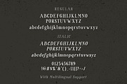 Silvana - Organic Serif, a Serif Font by Bale Type (Thumbnail 8 of 9)